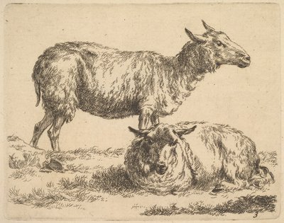 dalla Serie delle Pecore da Nicolaes Pietersz. Berchem