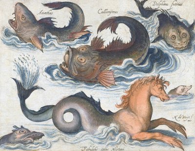 Cavalluccio marino e creature acquatiche immaginarie da Nicolaes de (after) Bruyn