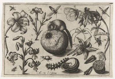 Fiori e un topo su una mela da Nicolaes de Bruyn (possibly)