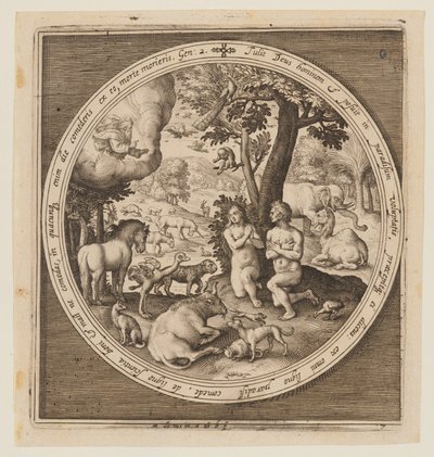Adamo ed Eva in Paradiso, dalla creazione alla cacciata dal Paradiso da Nicolaes de Bruyn
