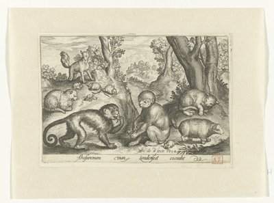 Scimmie, gatti e topi da Nicolaes de Bruyn