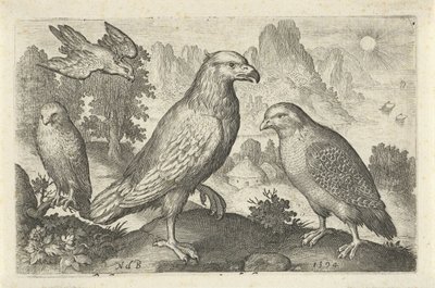 Aquila e altri rapaci da Nicolaes de Bruyn
