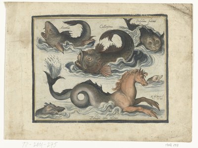 Animali acquatici fantastici, tra cui cavalluccio marino da Nicolaes de Bruyn