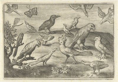 Upupa e altri uccelli (serie: Uccelli e insetti) da Nicolaes de Bruyn