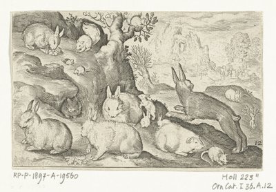 Conigli, scoiattolo, cavia e topo (serie: Animali quadrupedi) (serie: Animali nei paesaggi) da Nicolaes de Bruyn