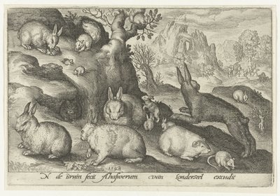 Conigli, scoiattolo, cavia e topo da Nicolaes de Bruyn