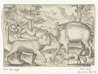 Leopardo, cinghiale e cani da Nicolaes de Bruyn