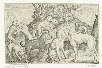 Nove cani da Nicolaes de Bruyn