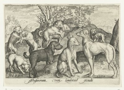 Nove cani da Nicolaes de Bruyn