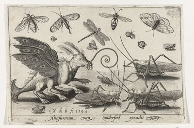 Cavallette e creatura fantastica con ali e membrane natatorie da Nicolaes de Bruyn