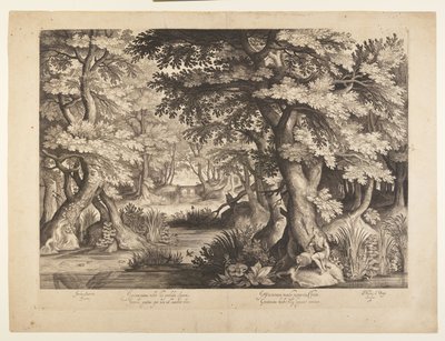 San Giovanni Battista nel deserto da Nicolaes de Bruyn
