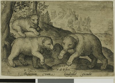 Tre orsi, tavola dieci da Animali a quattro zampe da Nicolaes de Bruyn