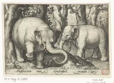Due elefanti, Animalivm qvadrvpedvm (titolo della serie), Animali in paesaggi (titolo della serie) da Nicolaes de Bruyn