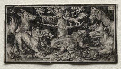 Rana a due teste circondata da animali, 1594 da Nicolaes de Bruyn