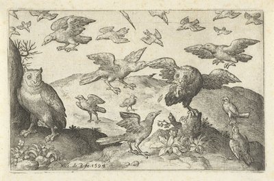 Gufo con preda assalito da altri uccelli (Uccelli e insetti) da Nicolaes de Bruyn