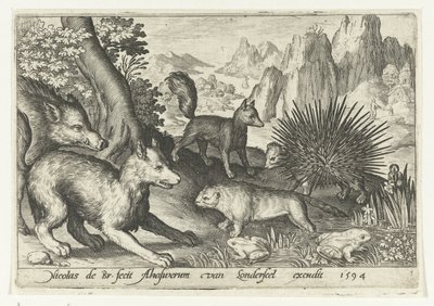 Cinghiale, volpi, castoro, istrice e rane da Nicolaes de Bruyn