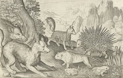 Cinghiale, volpi, castori, porcospino e rane da Nicolaes de Bruyn