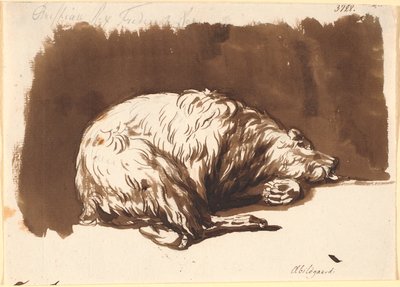 Un orso sdraiato da Nicolai Abildgaard