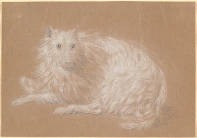Un cane a pelo lungo sdraiato da Nicolai Abildgaard