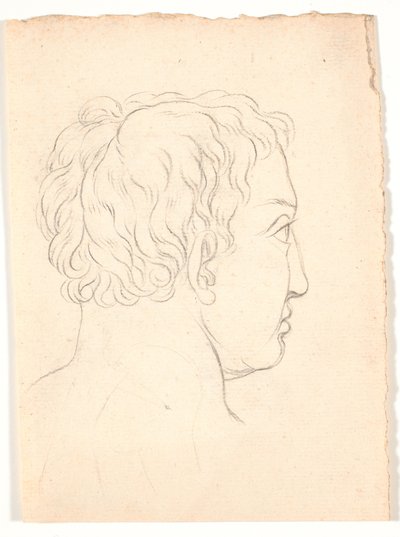 Testa di un uomo vista di sbieco da dietro da Nicolai Abildgaard
