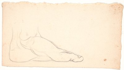 Schizzo di piede visto di lato. Tallone a sinistra. da Nicolai Abildgaard