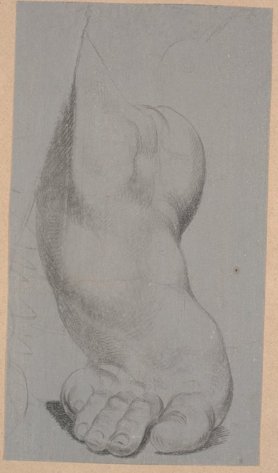 Studio di un piede da Nicolai Abildgaard