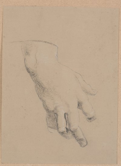 Studio di una Mano da Nicolai Abildgaard