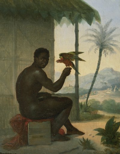 Nero brasiliano con uccello tropicale da Nicolas Antoine Taunay