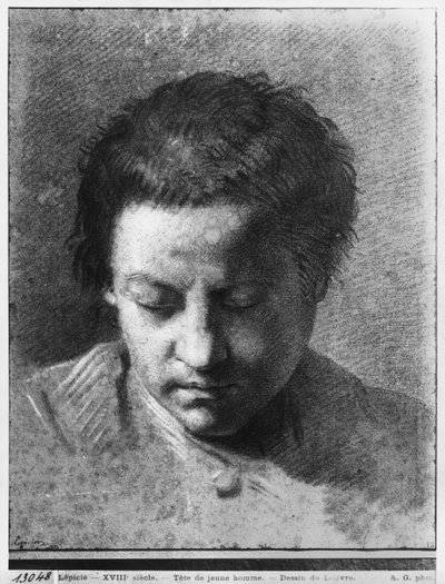 Testa di un giovane che guarda in basso da Nicolas Bernard Lepicie
