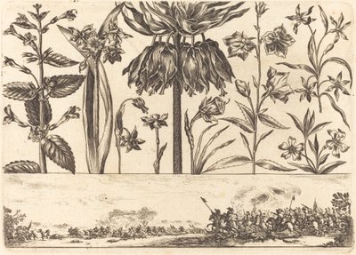 Stampa di Fiori n.10 da Nicolas Cochin after Balthasar Moncornet