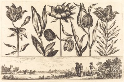 Stampa di fiori n.11 da Nicolas Cochin after Balthasar Moncornet