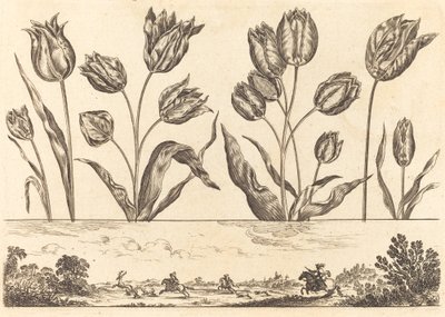 Stampa di fiori n.12 da Nicolas Cochin after Balthasar Moncornet