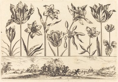 Stampa floreale n.2 da Nicolas Cochin after Balthasar Moncornet