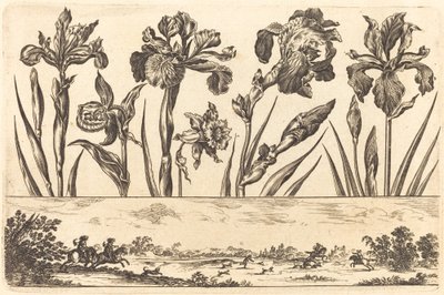 Stampa di fiori n.3 da Nicolas Cochin after Balthasar Moncornet