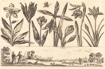 Stampa di fiori n.4 da Nicolas Cochin after Balthasar Moncornet