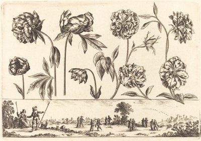 Stampa di Fiori n.7 da Nicolas Cochin after Balthasar Moncornet
