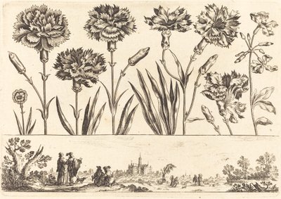 Stampa di fiori n.9 da Nicolas Cochin after Balthasar Moncornet
