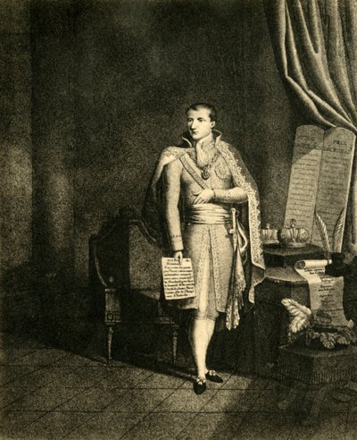 Napoleone primo imperatore dei francesi re d