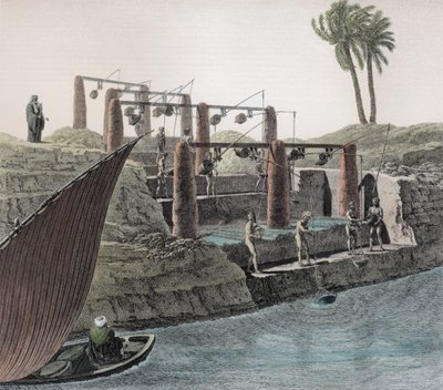 Raccolta dell
