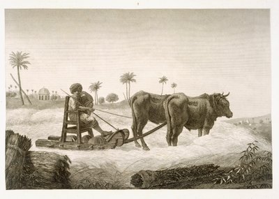 Raccolta del grano, dal Volume II Arti e Mestieri di 