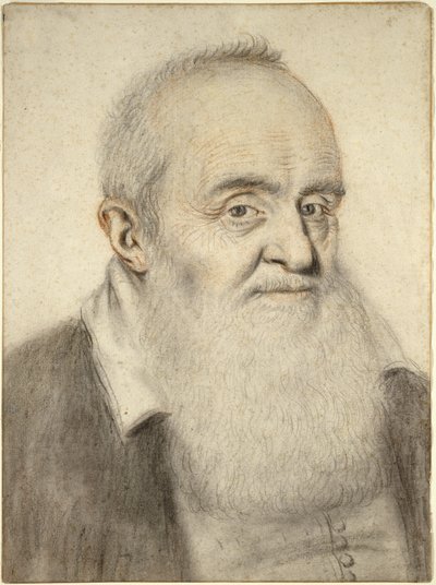 Testa di un uomo barbuto da Nicolas Lagneau or Lanneau