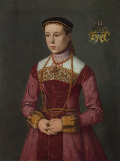 Ritratto di una giovane signora da Nicolas Neufchatel