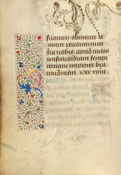 Pagina di testo decorata da Nicolas Spierinc