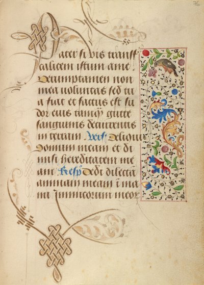 Pagina di testo decorata da Nicolas Spierinc