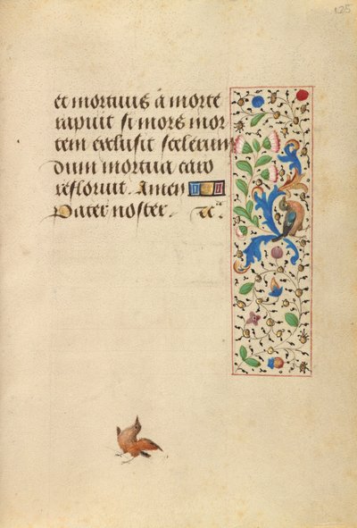 Pagina di testo decorata da Nicolas Spierinc