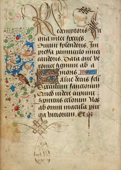 Pagina di testo decorata da Nicolas Spierinc