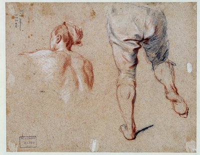 Studio di anatomia da Nicolas Vleughels