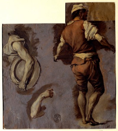 Studio di anatomia, movimenti del braccio e schiena dell