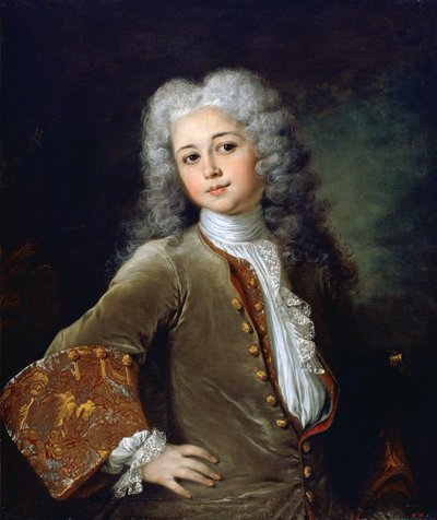 Ritratto di un giovane con parrucca da Nicolas de Largillière