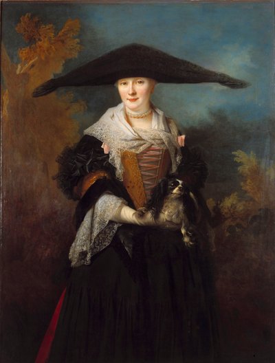 Ritratto della bella Strasburgo da Nicolas de Largillière